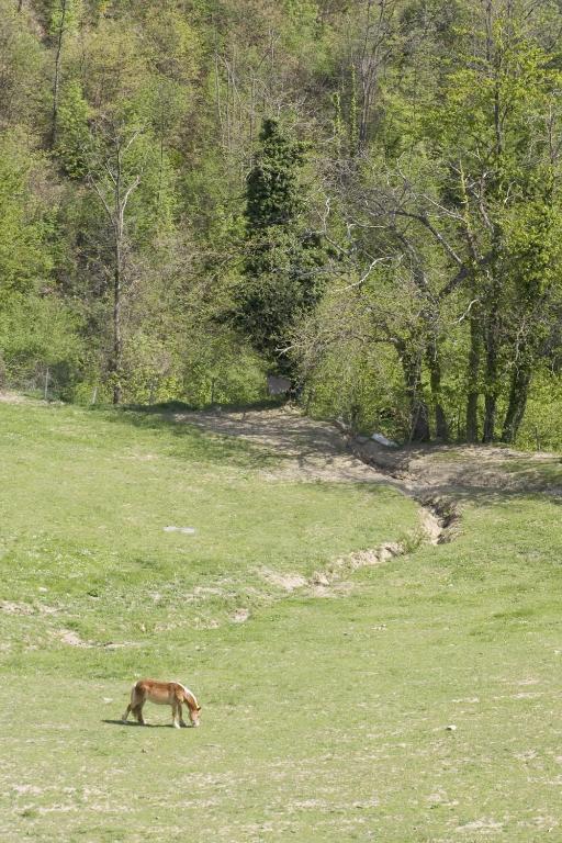 Agriturismo Rimaggiori Relaxing Country Home And Typical Italian Restaurant バルベリーノ・ディ・ムジェッロ エクステリア 写真
